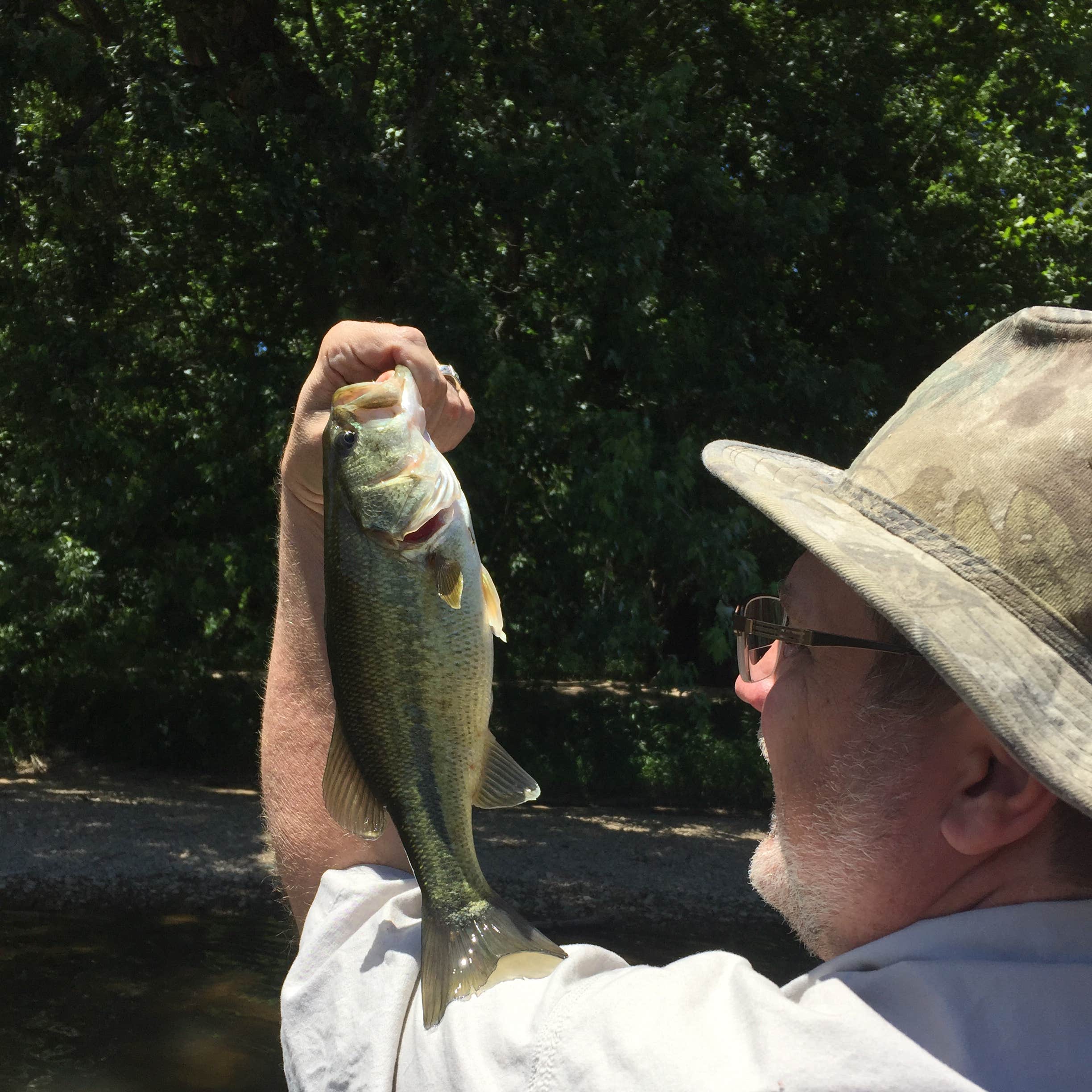 Akers Ferry Campground | The Dyrt