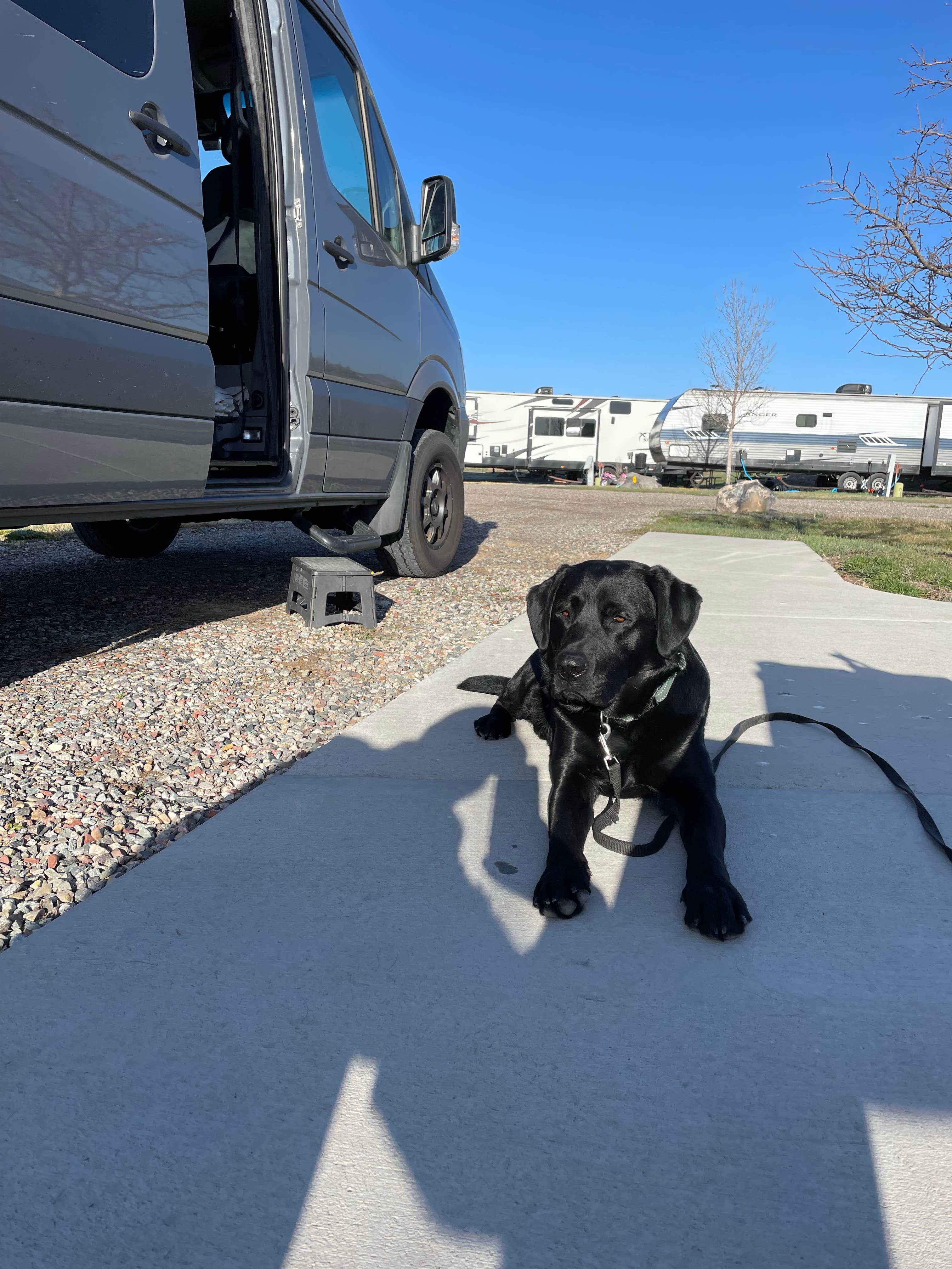 Dana M.'s photo of camping with pets at Glenwood Springs West/Colorado River KOA near Glenwood Springs, CO