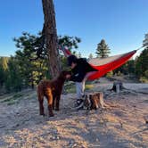 Review photo of Tom Best Spring Road FR117 Dispersed - Dixie National Forest by Maddy J., April 4, 2022