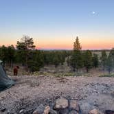 Review photo of Tom Best Spring Road FR117 Dispersed - Dixie National Forest by Maddy J., April 4, 2022