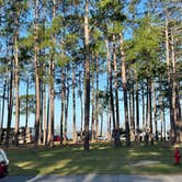Review photo of Meaher State Park Campground by Cindy C., April 4, 2022