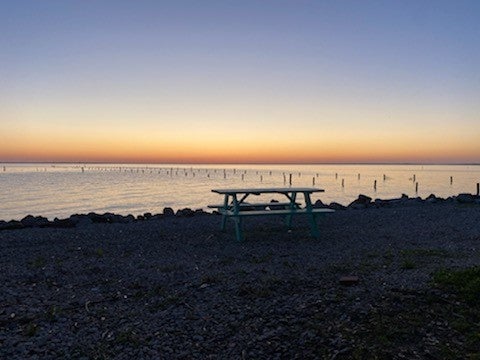 Camper submitted image from Pine Island RV & Marina - 3