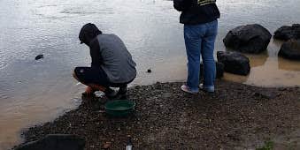 Camper submitted image from The Chicken Ranch