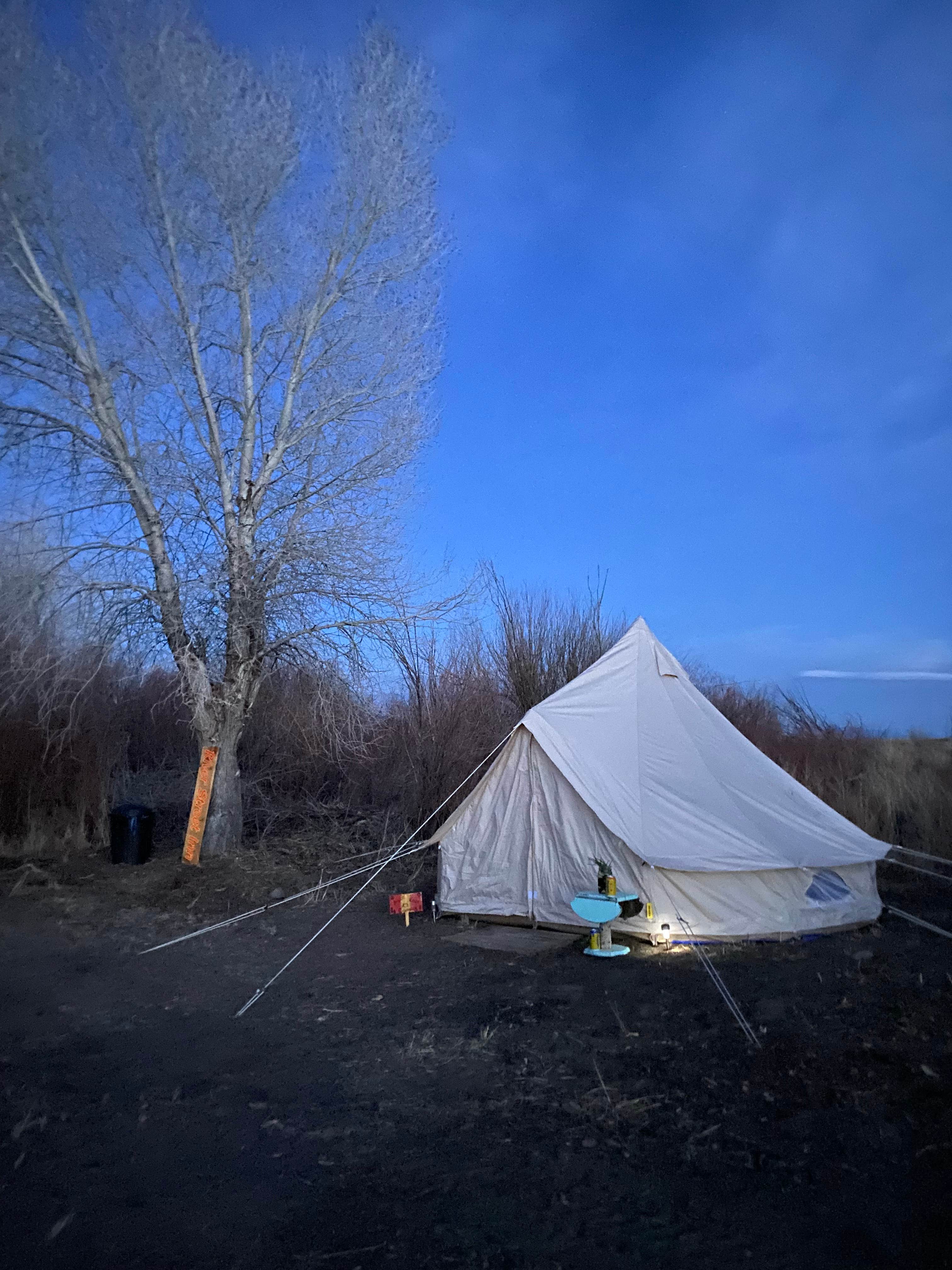 Jennifer T.'s photo of tent camping at The Chicken Ranch near Red River, NM