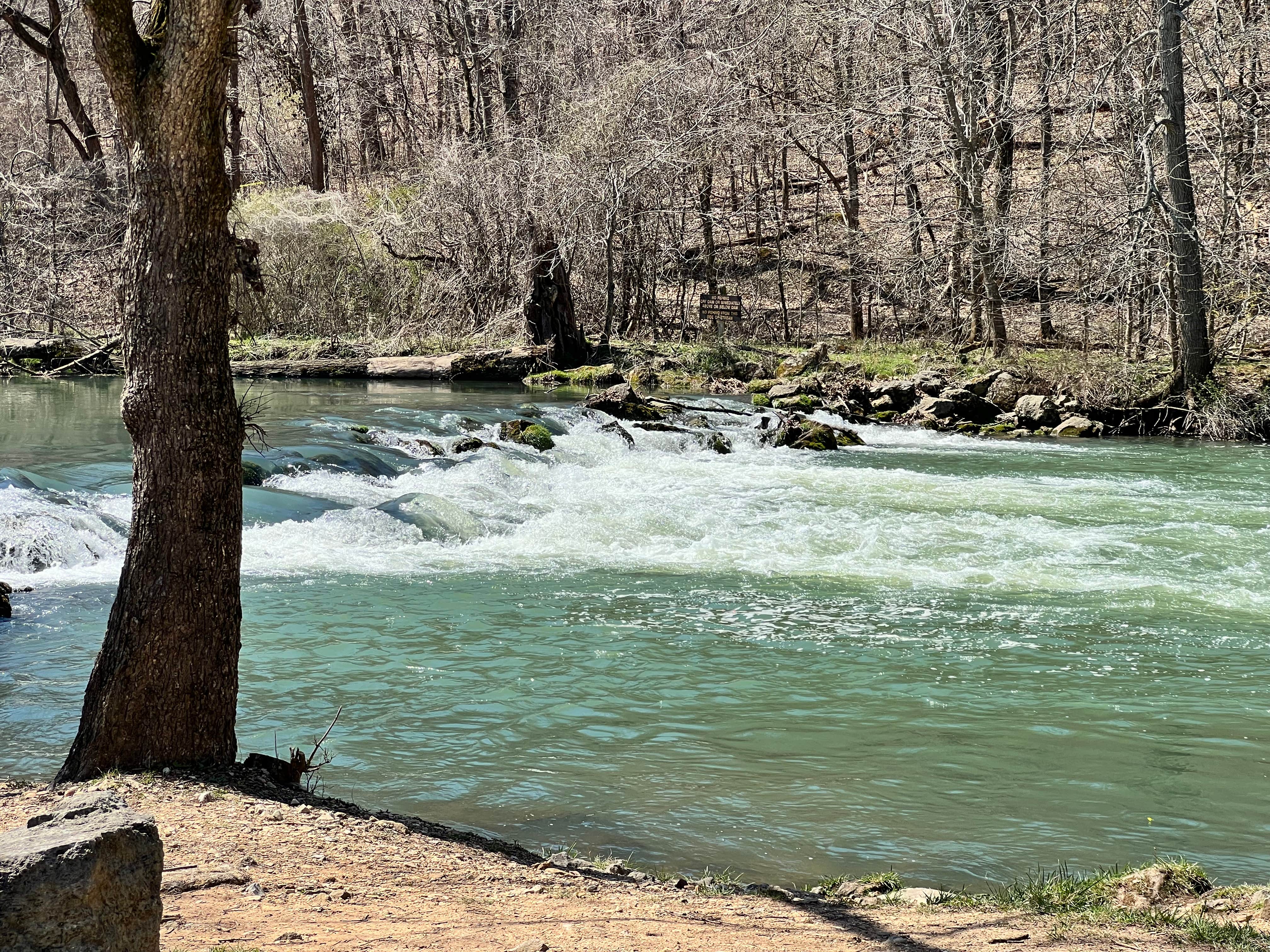 Camper-submitted photo at Bennett Spring State Park Campground in Missouri