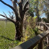 Review photo of Paynes Prairie Preserve State Park Campground by Lindsey H., April 4, 2022