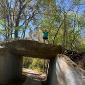 Review photo of Paynes Prairie Preserve State Park Campground by Lindsey H., April 4, 2022