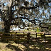 Review photo of Paynes Prairie Preserve State Park Campground by Lindsey H., April 4, 2022