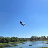 Review photo of Paynes Prairie Preserve State Park Campground by Lindsey H., April 4, 2022