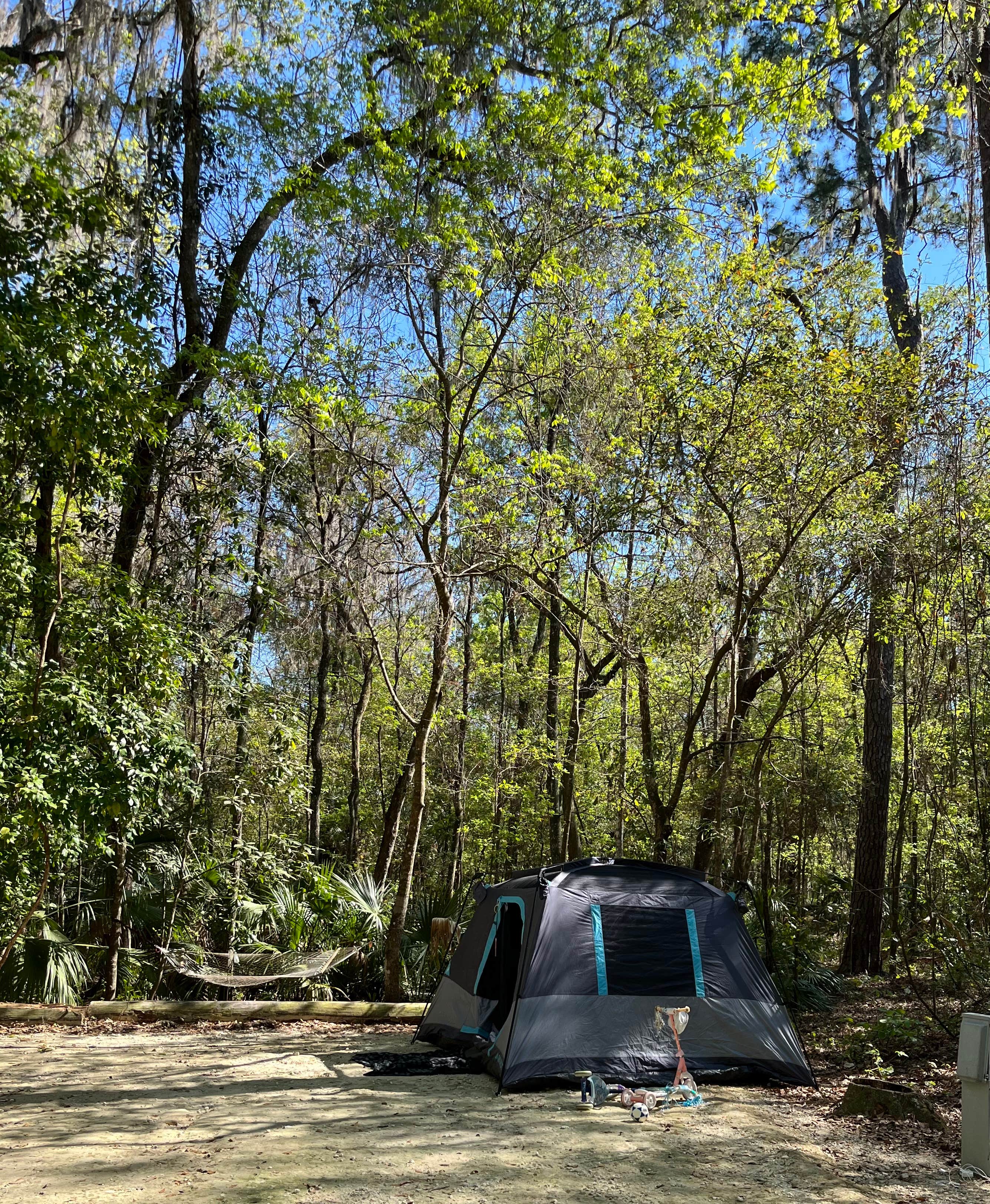 Lindsey H.'s photo at Paynes Prairie Preserve State Park Campground near Bronson, FL