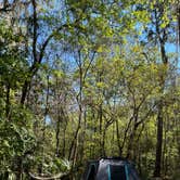 Review photo of Paynes Prairie Preserve State Park Campground by Lindsey H., April 4, 2022