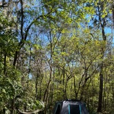 Review photo of Paynes Prairie Preserve State Park Campground by Lindsey H., April 4, 2022