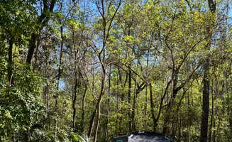 Lindsey H.'s photo at Paynes Prairie Preserve State Park Campground near Archer, FL