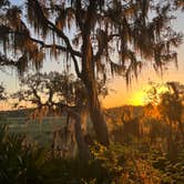 Review photo of Little Talbot Island State Park Campground by Lindsey H., April 4, 2022