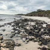 Review photo of Little Talbot Island State Park Campground by Lindsey H., April 4, 2022