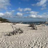 Review photo of Little Talbot Island State Park Campground by Lindsey H., April 4, 2022