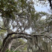 Review photo of Little Talbot Island State Park Campground by Lindsey H., April 4, 2022
