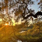 Review photo of Little Talbot Island State Park Campground by Lindsey H., April 4, 2022