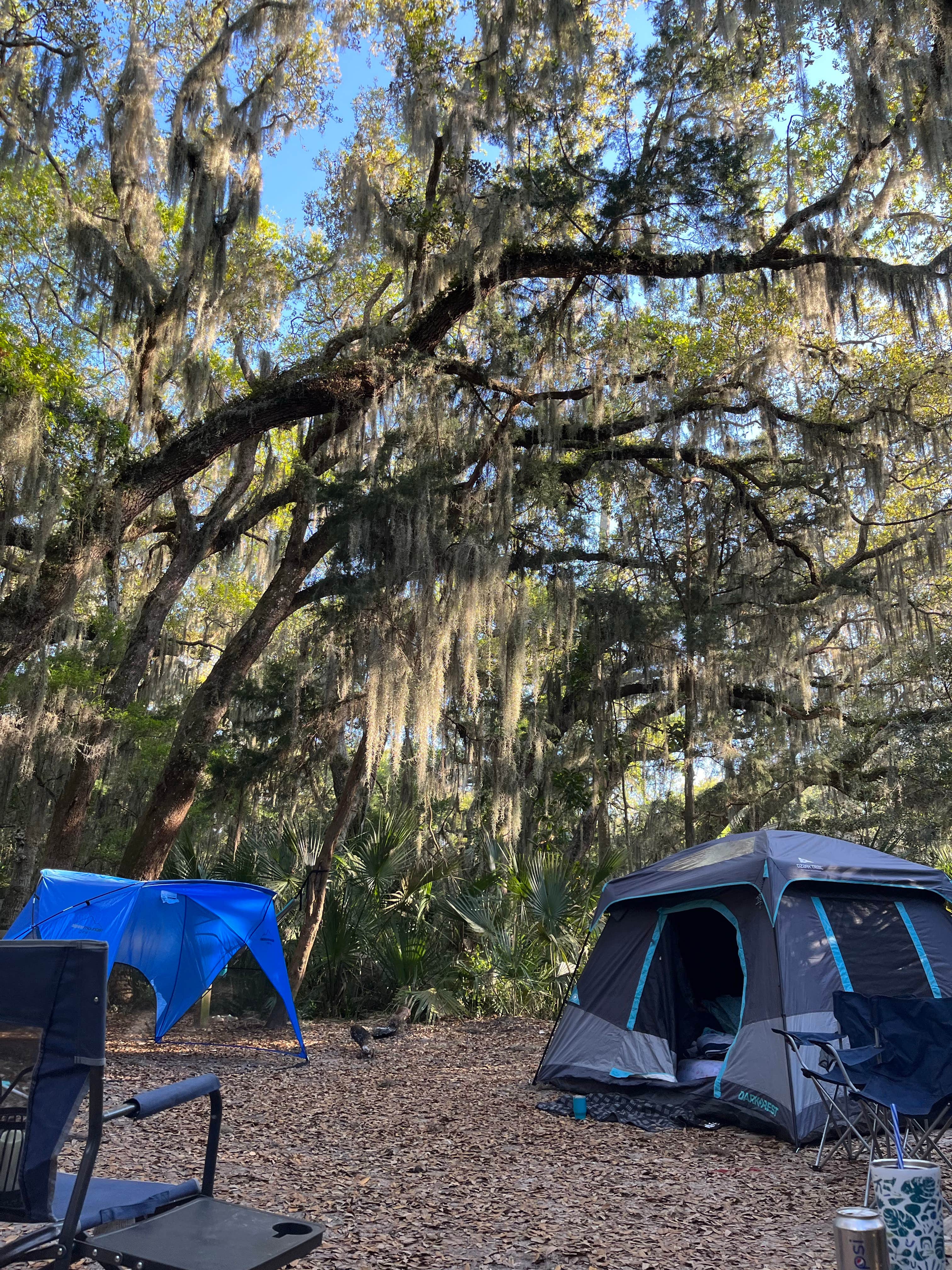 Lindsey H.'s photo at Little Talbot Island State Park Campground near Atlantic Beach, FL