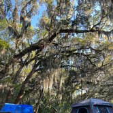 Review photo of Little Talbot Island State Park Campground by Lindsey H., April 4, 2022