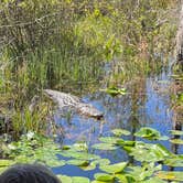 Review photo of Stephen C. Foster State Park Campground by Lindsey H., April 4, 2022