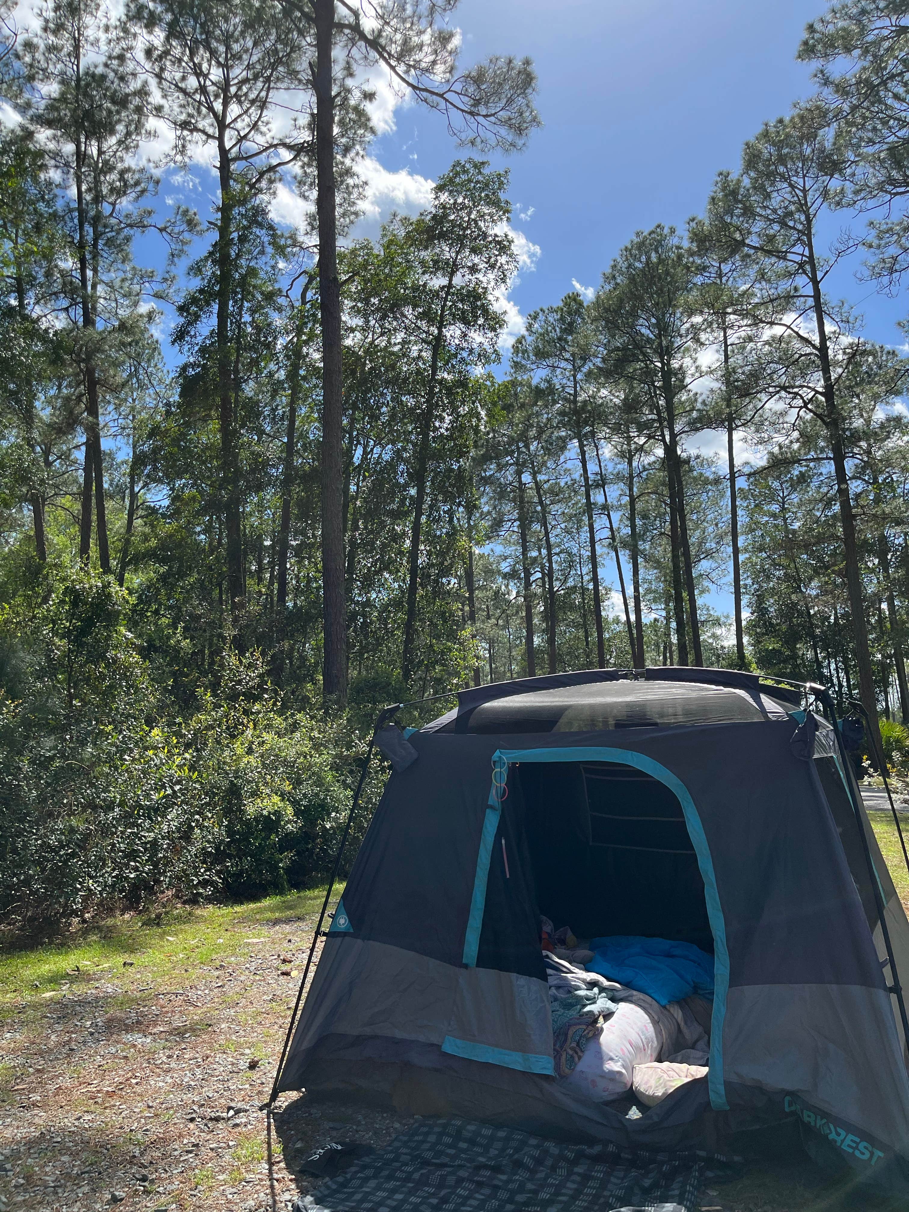 Lindsey H.'s photo at Stephen C. Foster State Park Campground near Waycross, GA