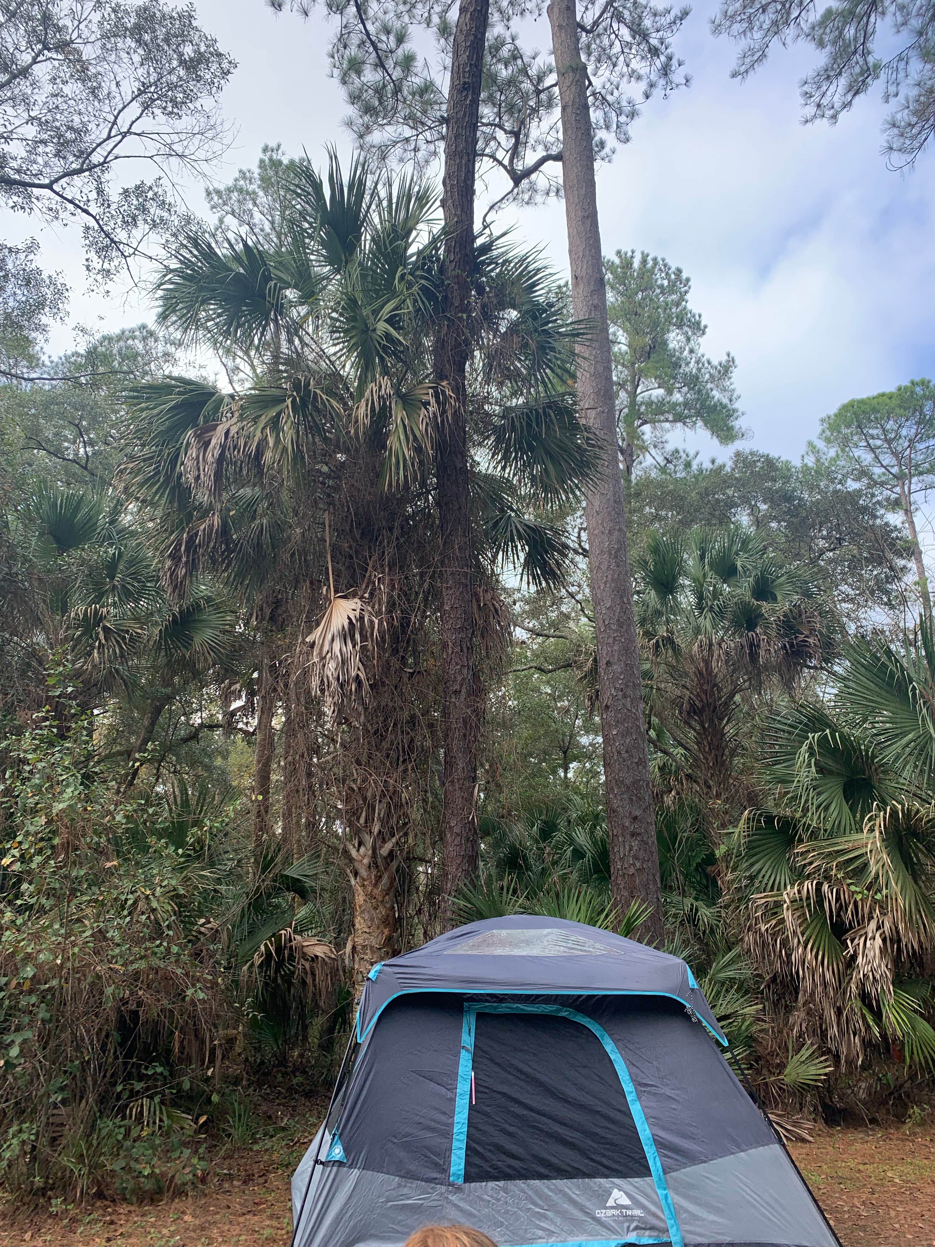 Lindsey H.'s photo at Juniper Springs Rec Area - Tropical Camp Area near Ocala National Forest
