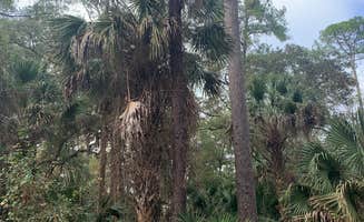 Lindsey H.'s photo at Juniper Springs Rec Area - Tropical Camp Area near Ocala National Forest