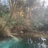 Review photo of Juniper Springs Rec Area - Tropical Camp Area by Lindsey H., April 4, 2022