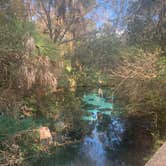 Review photo of Juniper Springs Rec Area - Tropical Camp Area by Lindsey H., April 4, 2022