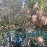 Review photo of Juniper Springs Rec Area - Tropical Camp Area by Lindsey H., April 4, 2022