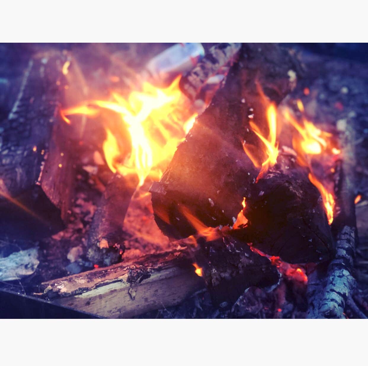 Camper submitted image from Pine Ridge Recreation Area - 5