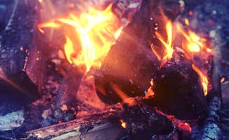 Charlotte B.'s photo at Pine Ridge Recreation Area near Hartsburg, MO