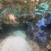 Review photo of Juniper Springs Rec Area - Tropical Camp Area by Lindsey H., April 4, 2022