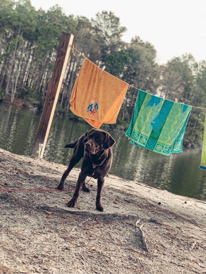 Jessica B.'s photo of camping with pets at Savannah South KOA near Pooler, GA