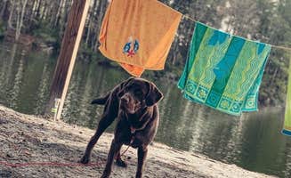 Jessica B.'s photo of camping with pets at Savannah South KOA in Georgia