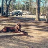 Review photo of Savannah South KOA by Jessica B., April 4, 2022