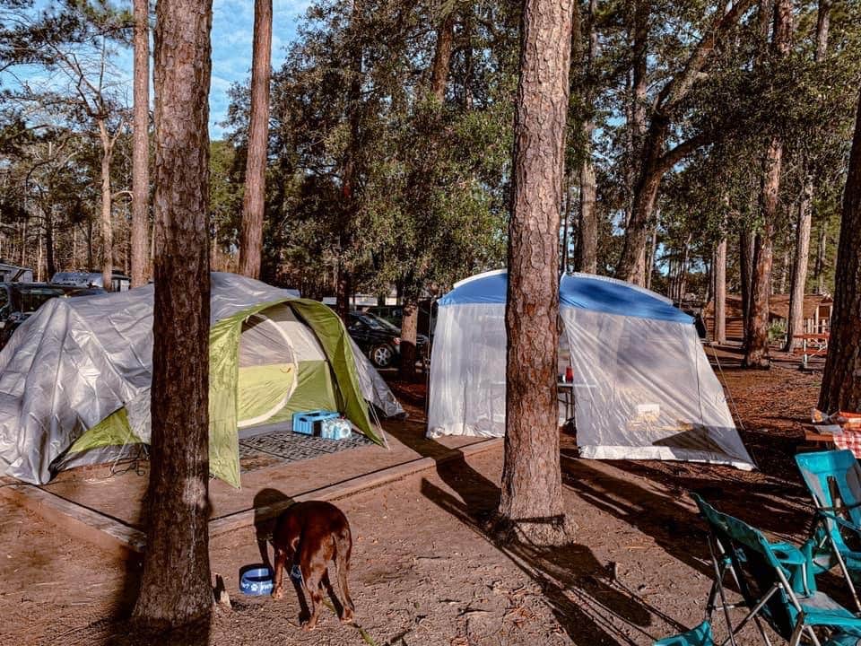 Jessica B.'s photo at Savannah South KOA near Sapelo Island, GA