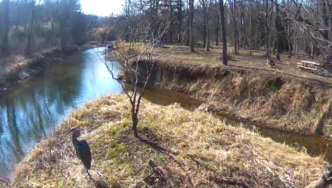 Camper submitted image from Spring-Fed Stream, Creek and Pond - 2