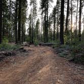 Review photo of Goat Meadow - Dispersed Camp Site by locke , April 4, 2022