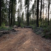 Review photo of Goat Meadow - Dispersed Camp Site by locke , April 4, 2022
