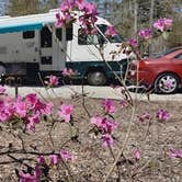 Review photo of CarrollWoods RV Park at Grapefull Sisters Vineyard by Robert M., April 4, 2022