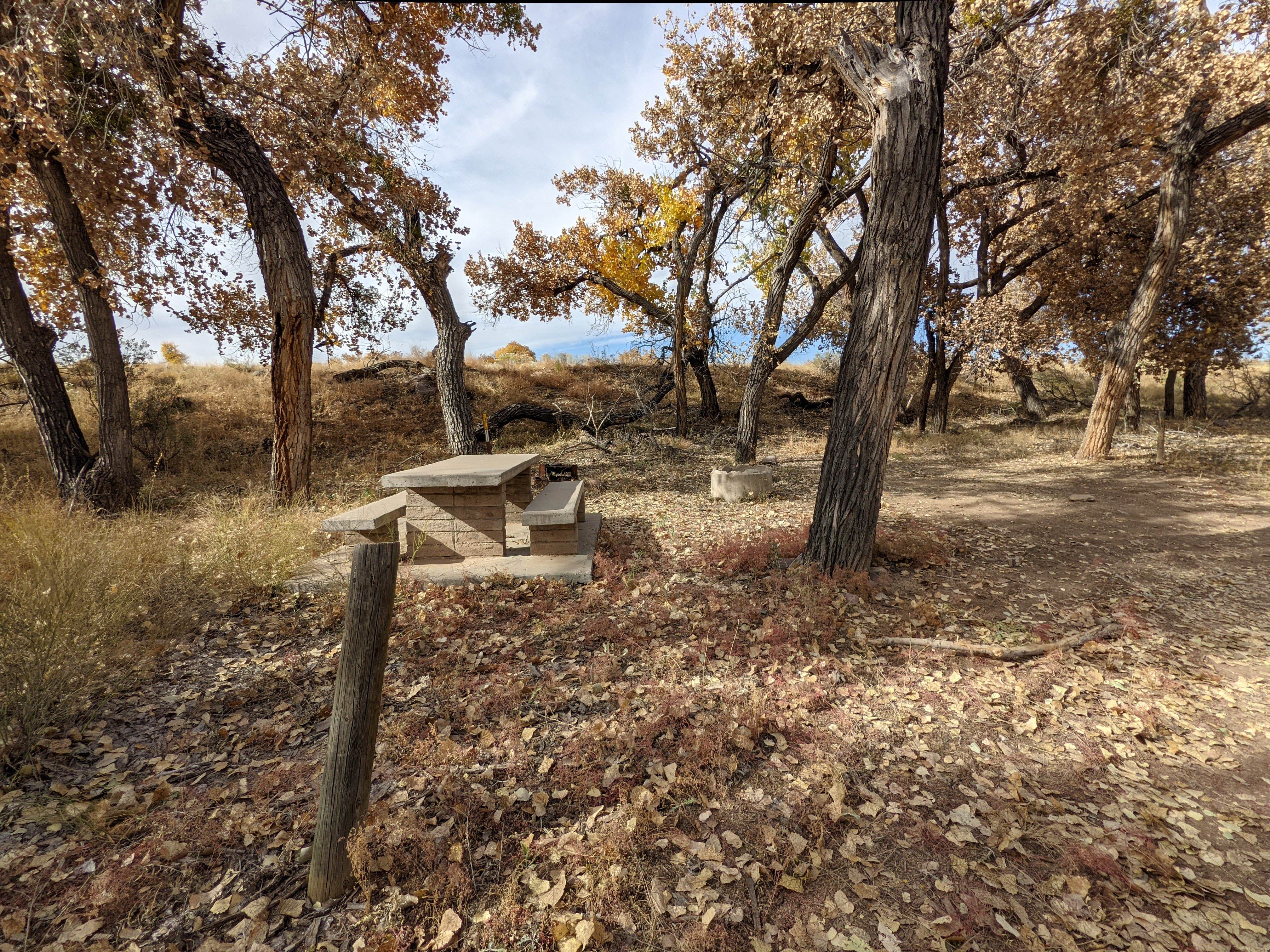Camper-submitted photo at San Antonio Bosque Park near San Acacia, NM