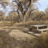 Review photo of San Antonio Bosque Park by Laura M., April 4, 2022