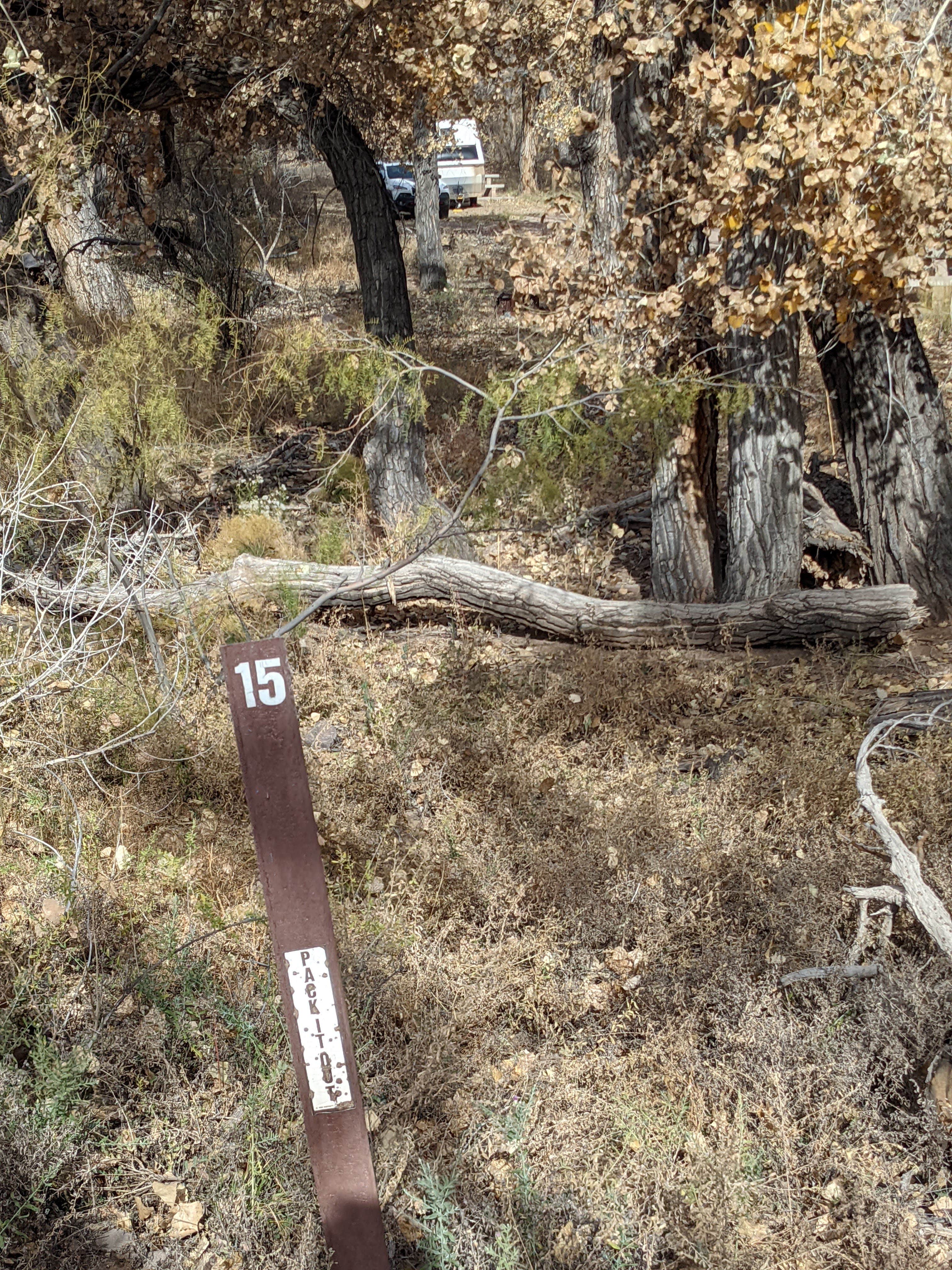 Camper-submitted photo at San Antonio Bosque Park near San Acacia, NM