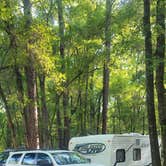 Review photo of Suwannee River State Park Campground by Greg S., April 4, 2022