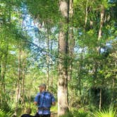 Review photo of Suwannee River State Park Campground by Greg S., April 4, 2022
