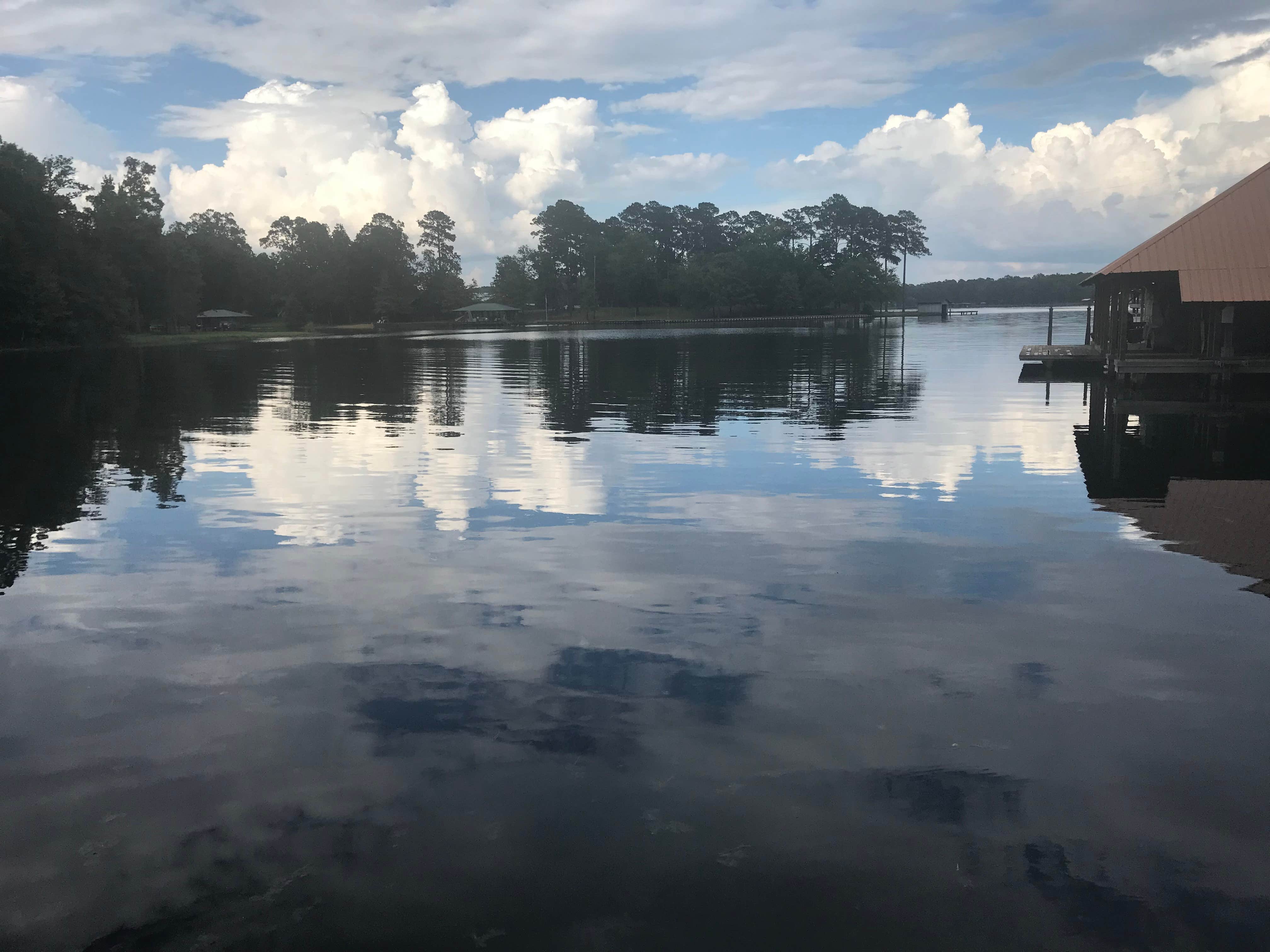 Camper submitted image from Jimmie Davis State Park Campground - 5