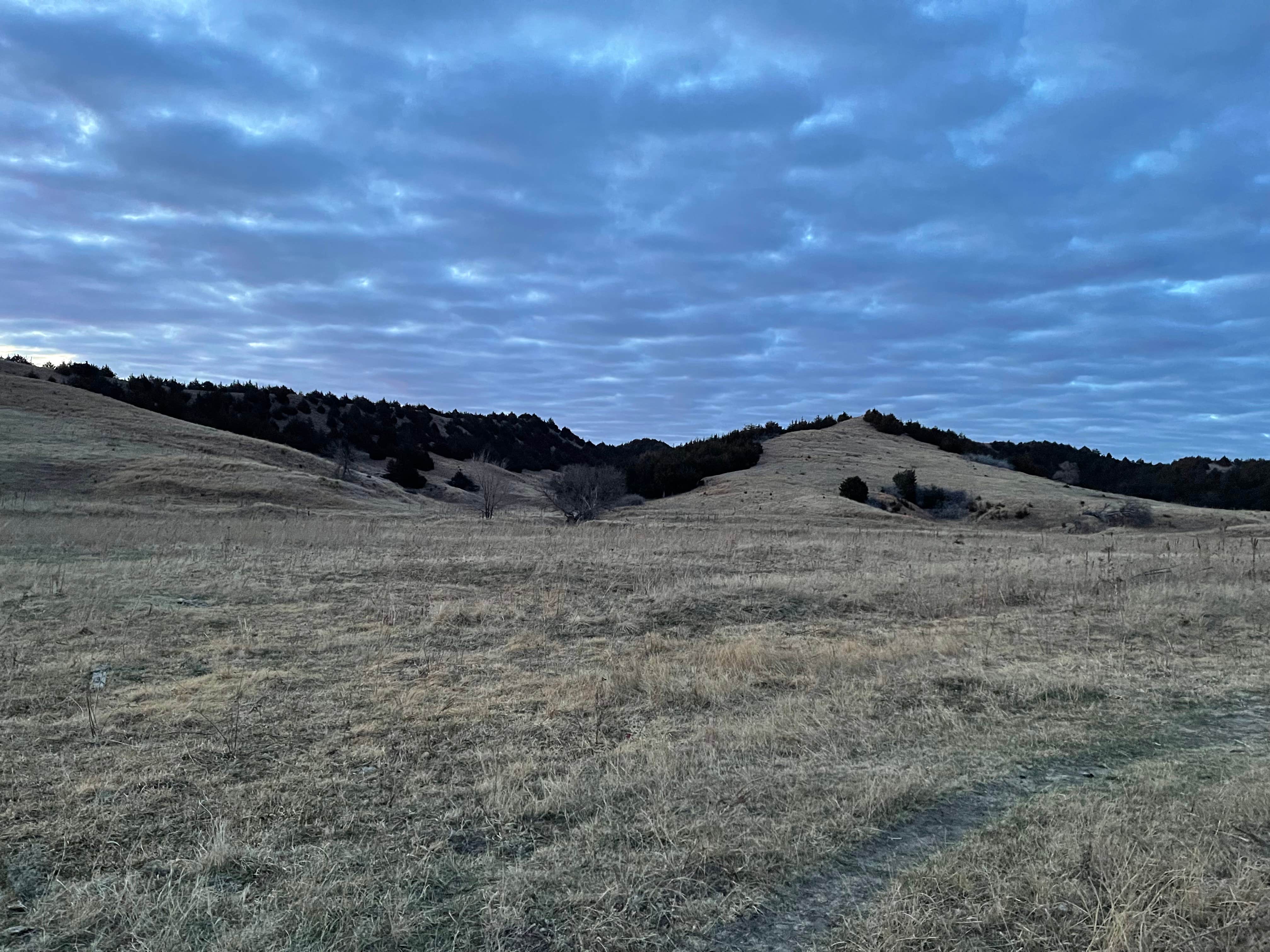 Camper submitted image from Box Elder Canyon WMA - 2