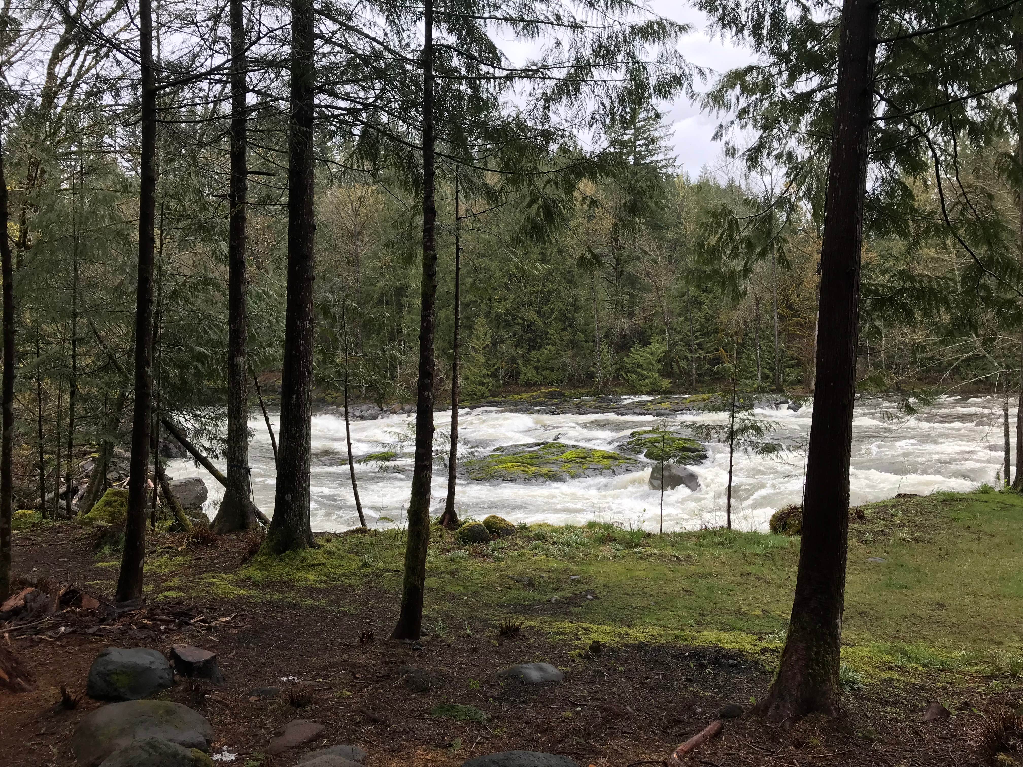Camping near Cedar Springs Alpacas: Fitz Ritz 2, Brightwood, Oregon